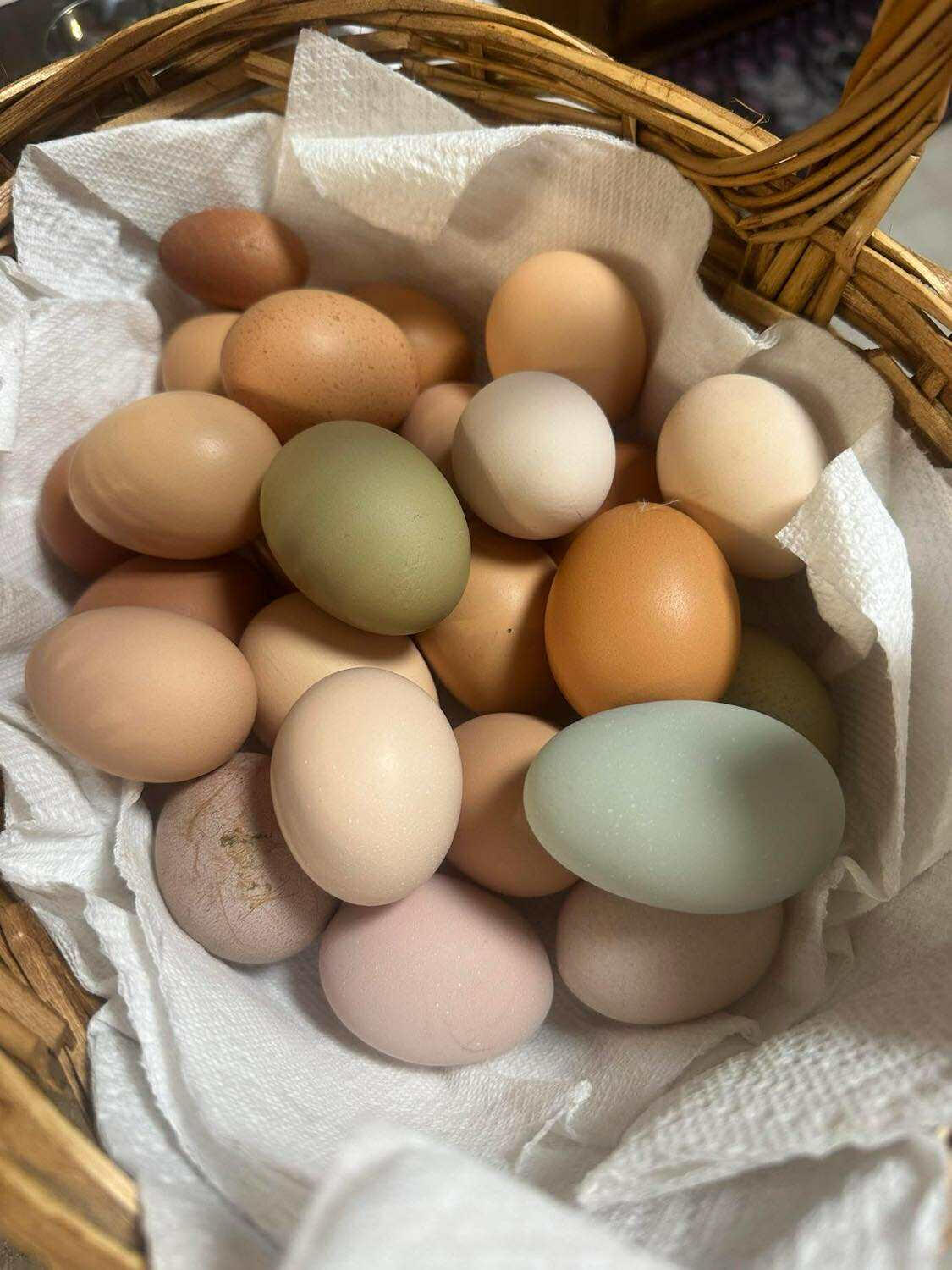 Farm fresh Eggs